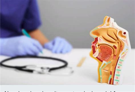 ent clinic near me|best ent specialist near me.